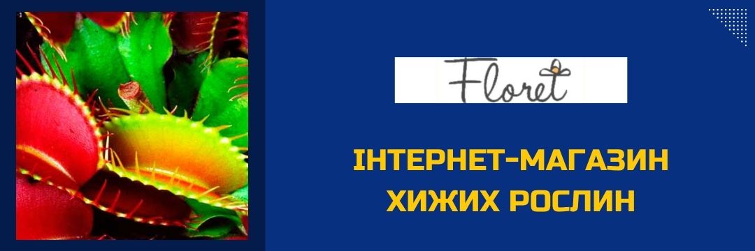 chernivts-floret